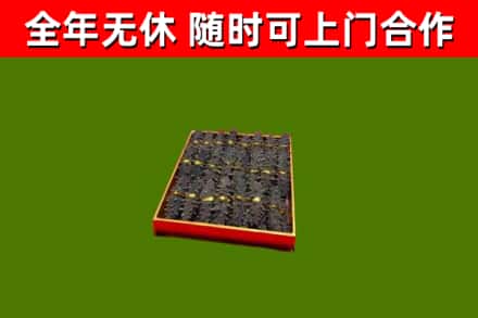 铜仁市回收海参